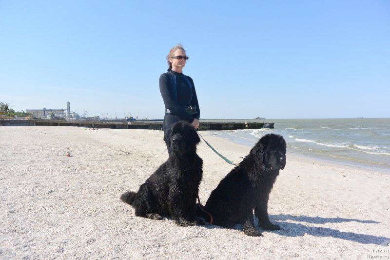 Фотография № 193510