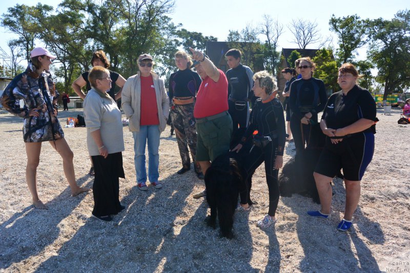 Фотография № 193513