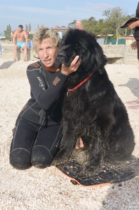 Фотография № 193517