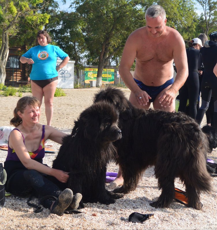 Фотография № 193519