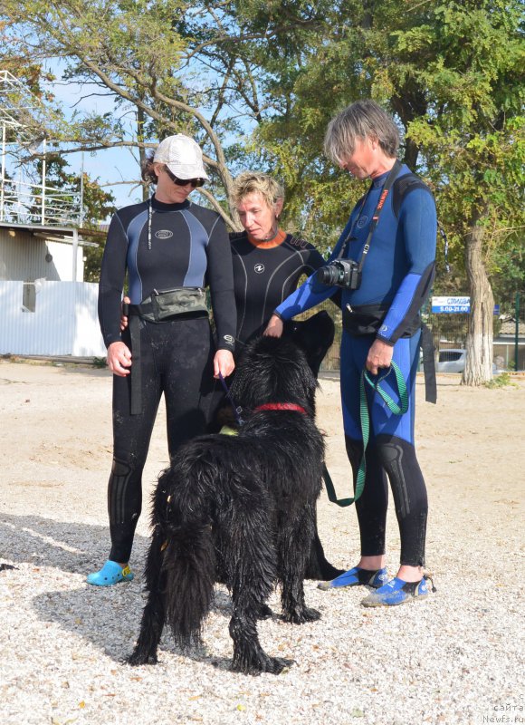 Фотография № 193521