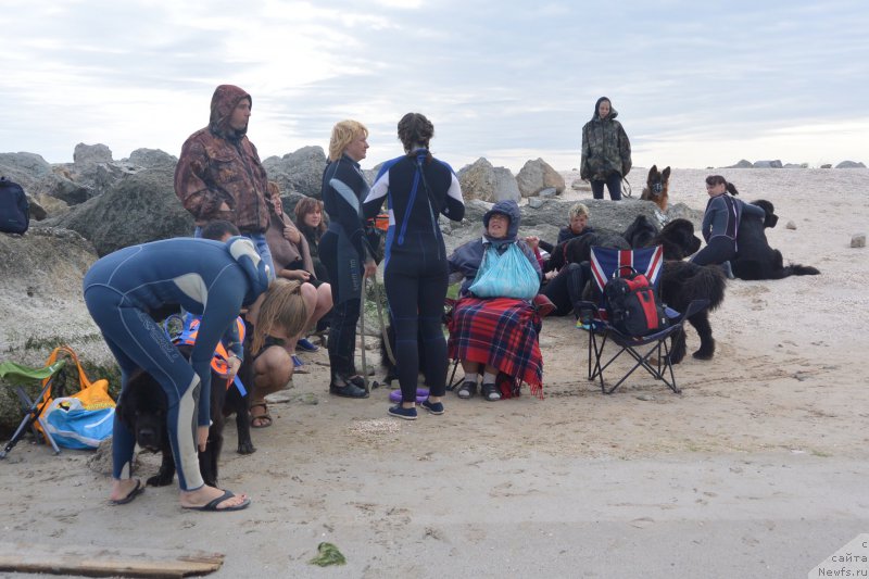 Фотография № 193529