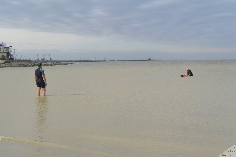 Фотография № 193532