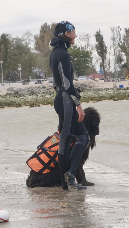 Фотография № 193535