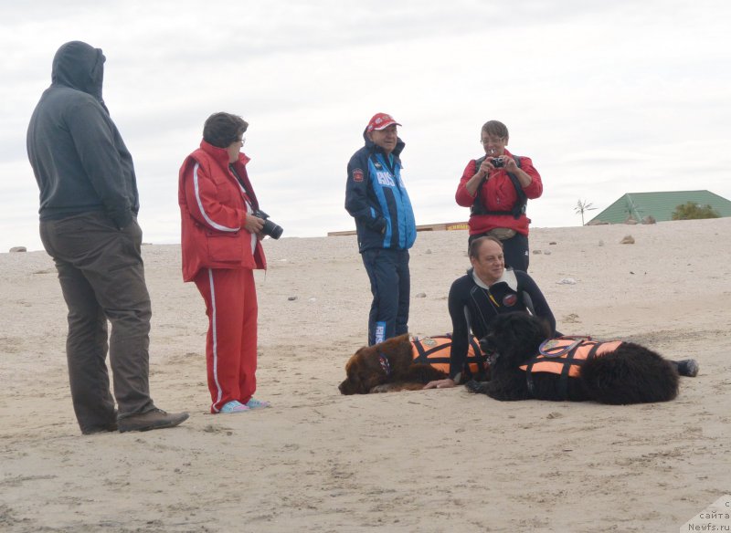 Фотография № 193536