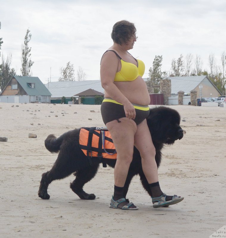 Фотография № 193537