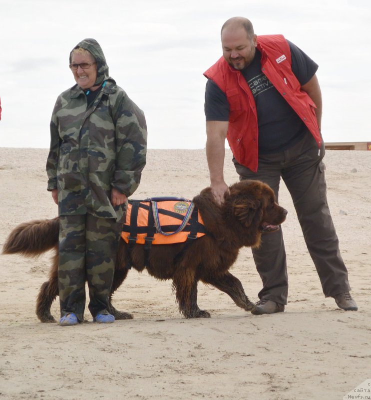 Фотография № 193549