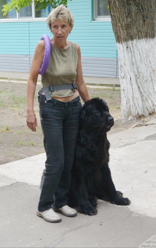 Фотография № 193551