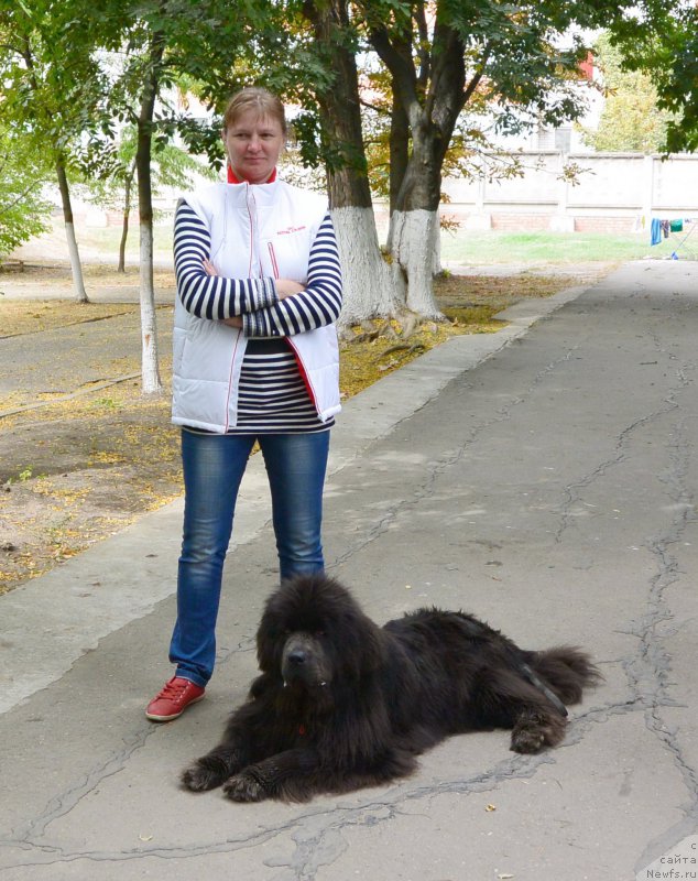 Фотография № 193555