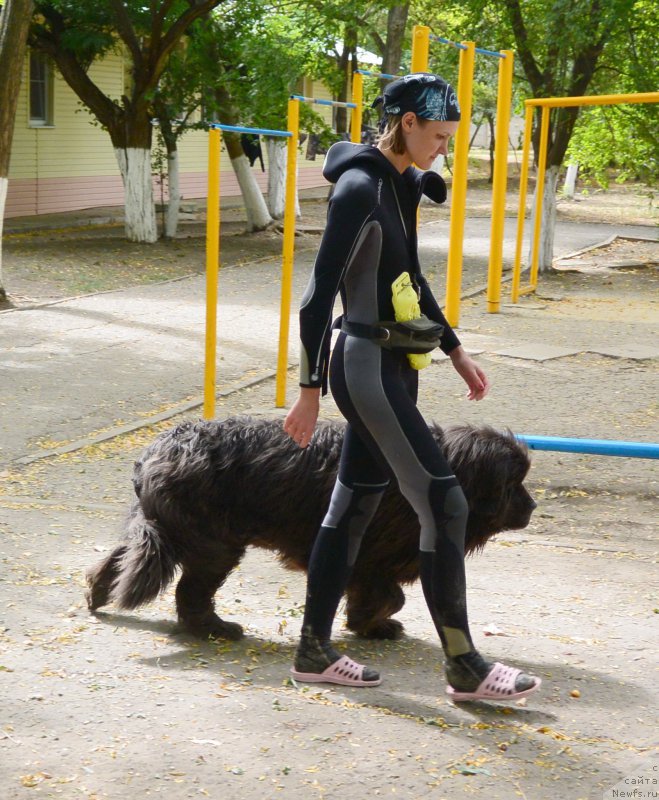 Фотография № 193556