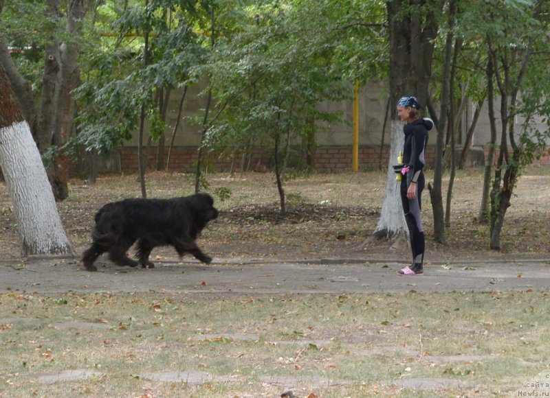 Фотография № 193558