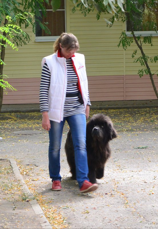 Фотография № 193560