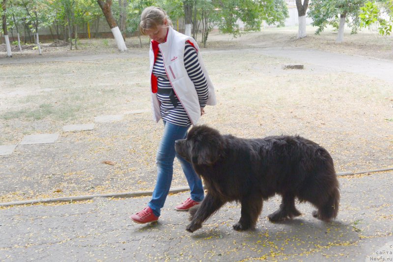 Фотография № 193562