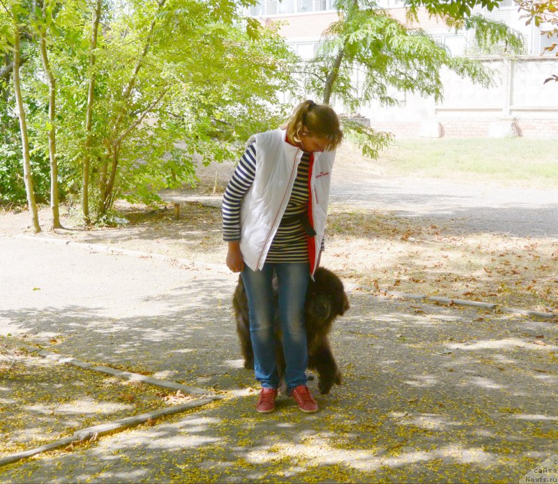 Фотография № 193563