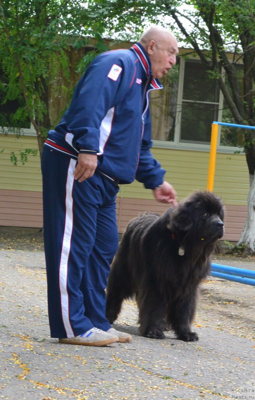 Фотография № 193565