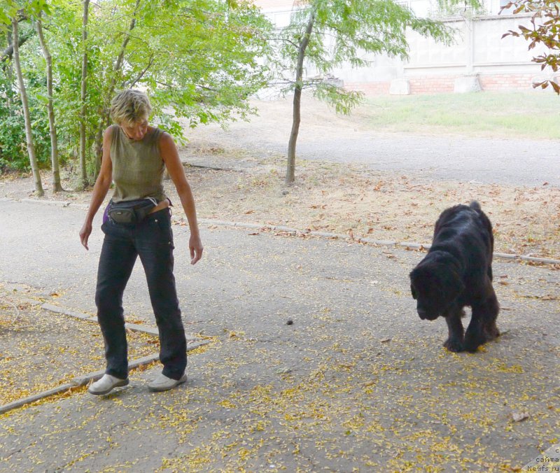 Фотография № 193567