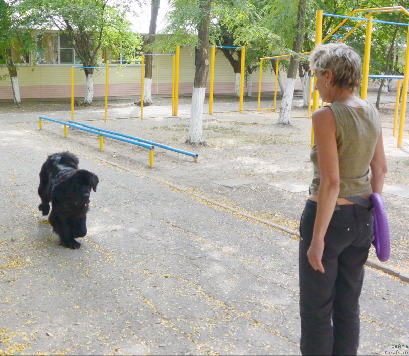 Фотография № 193570