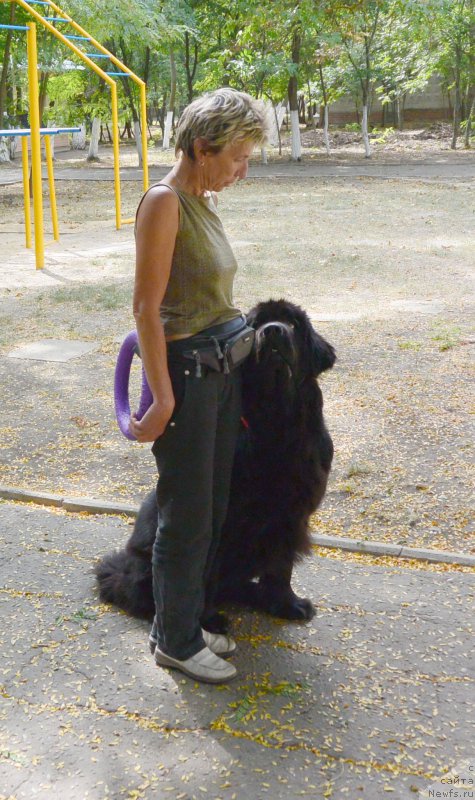 Фотография № 193571