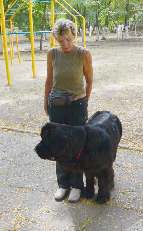 Фотография № 193572