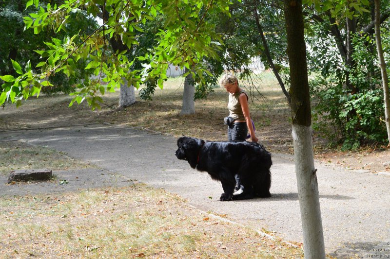 Фотография № 193573