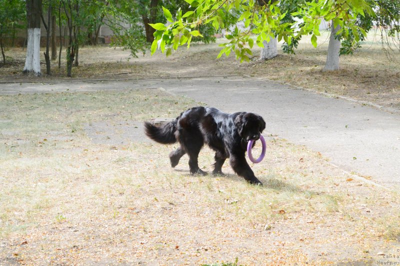 Фотография № 193575