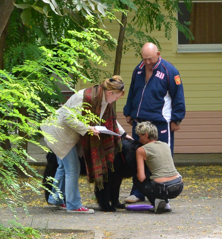 Фотография № 193576