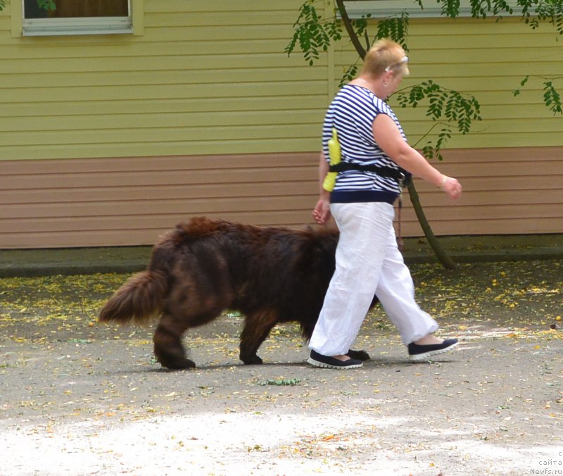 Фотография № 193577