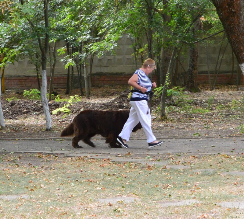 Фотография № 193578