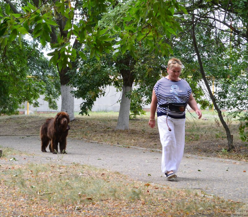 Фотография № 193580