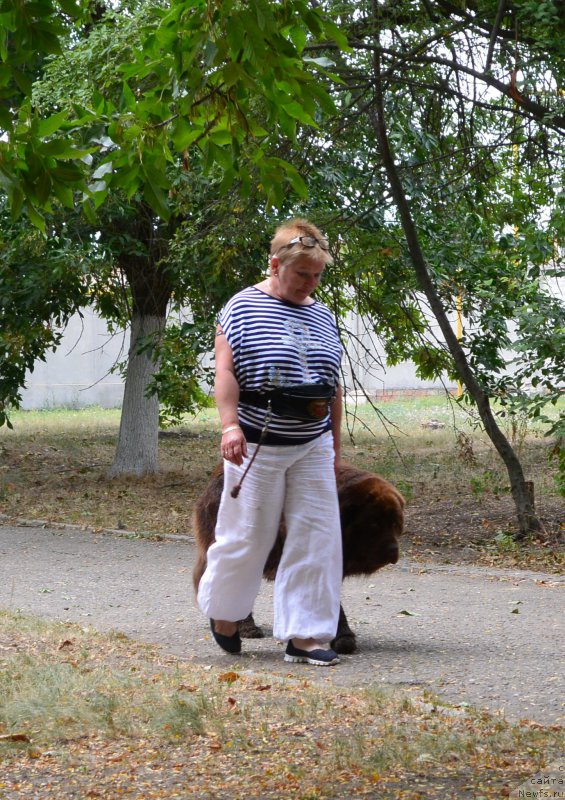 Фотография № 193581