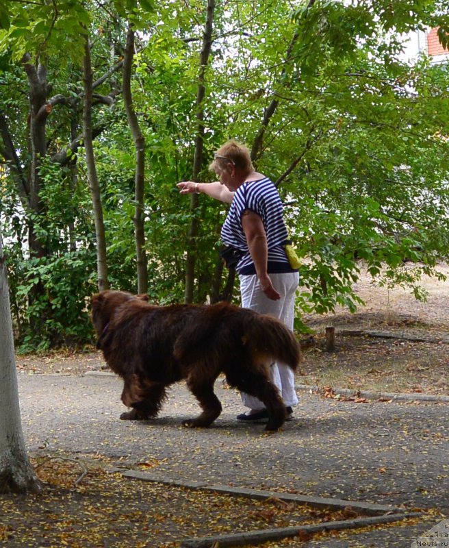 Фотография № 193582