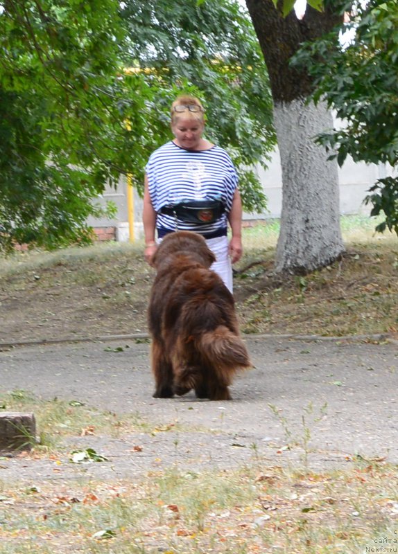 Фотография № 193583