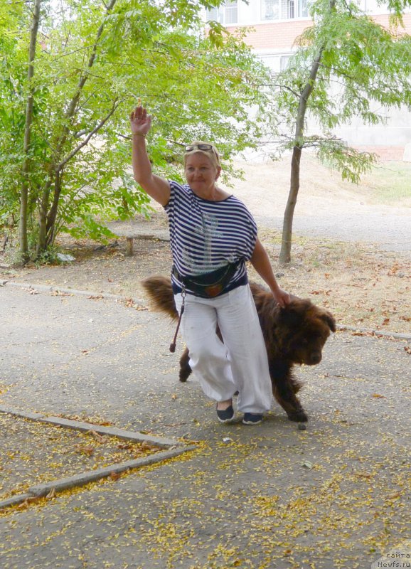 Фотография № 193585