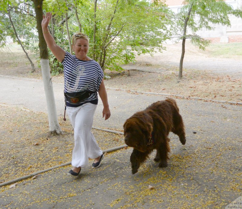 Фотография № 193586