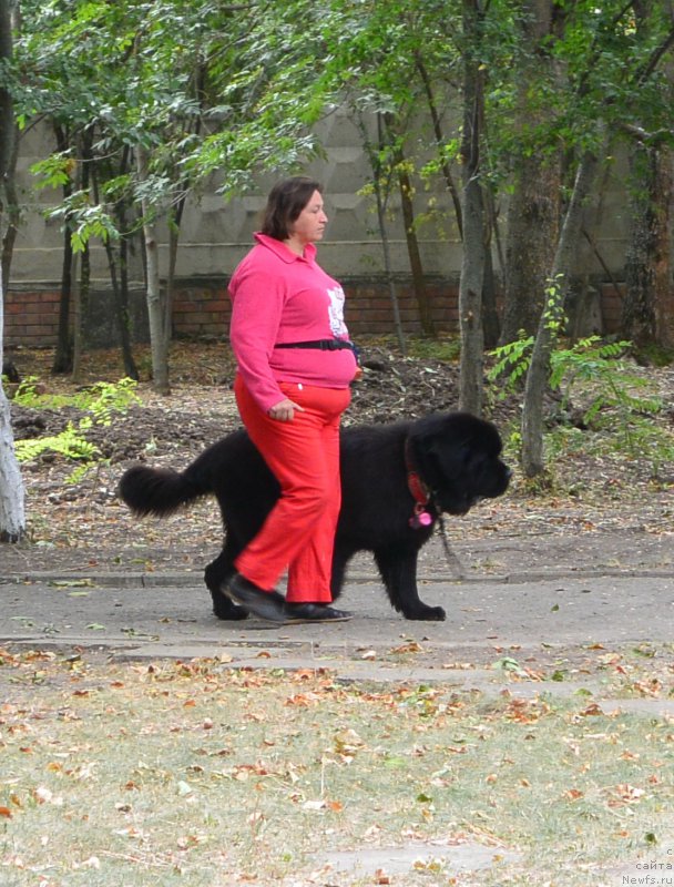 Фотография № 193589