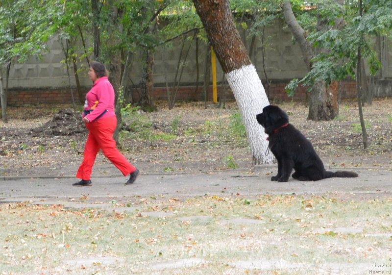 Фотография № 193590