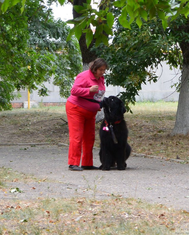 Фотография № 193591