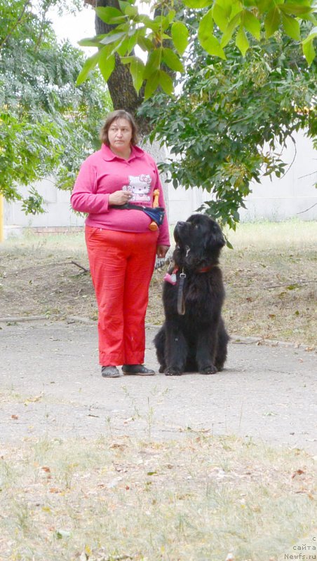 Фотография № 193592