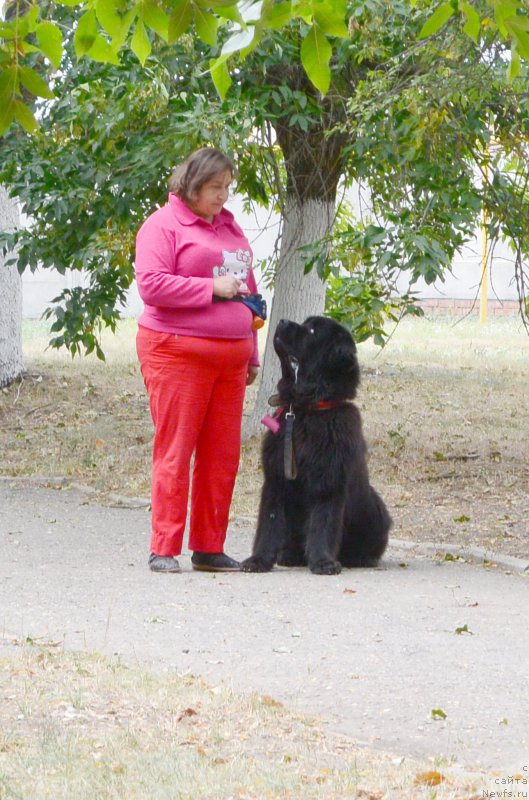 Фотография № 193593