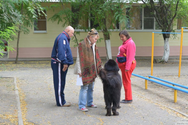 Фотография № 193596