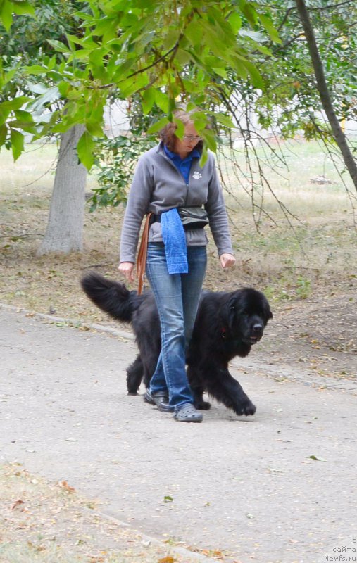 Фотография № 193598