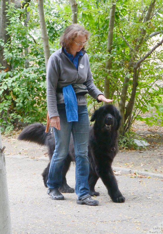 Фотография № 193600