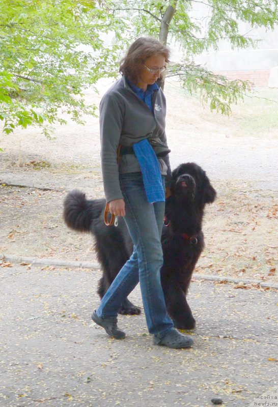 Фотография № 193601