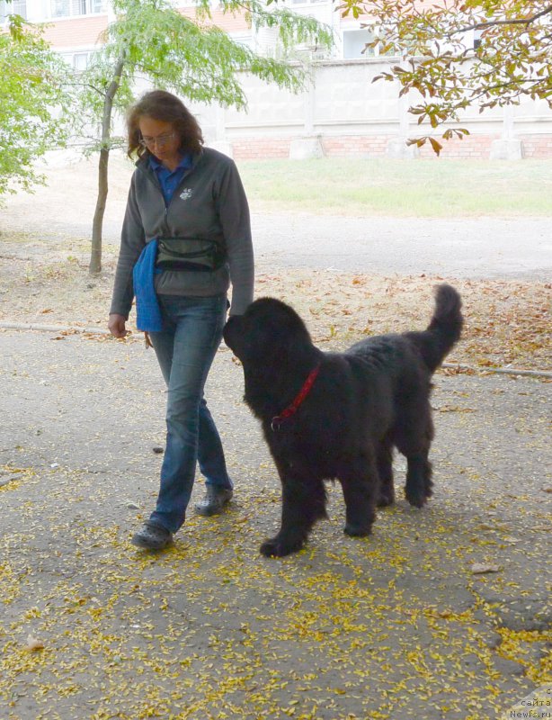 Фотография № 193602