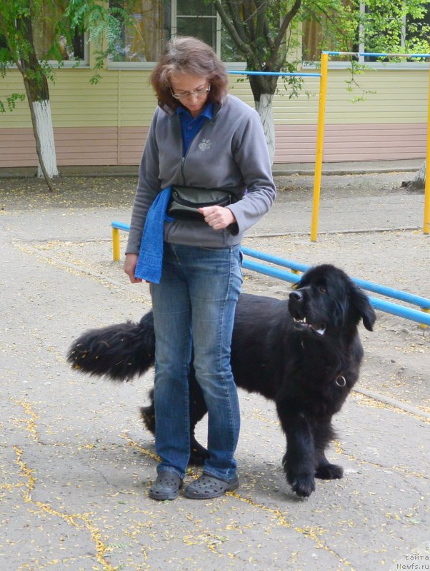 Фотография № 193604