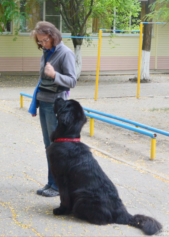 Фотография № 193605