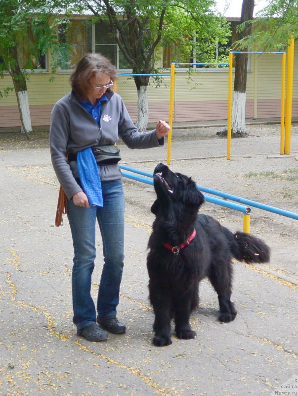 Фотография № 193607