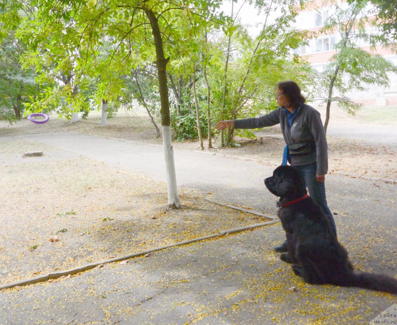 Фотография № 193609