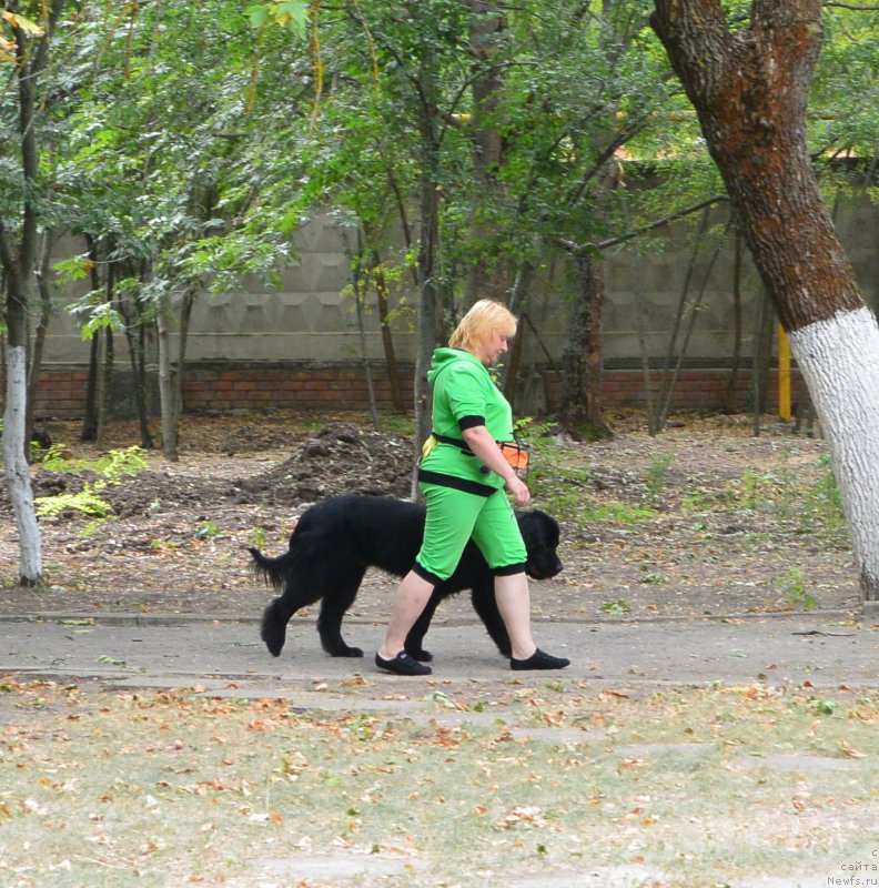 Фотография № 193615