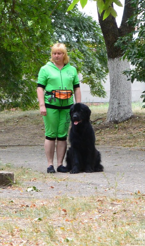 Фотография № 193616